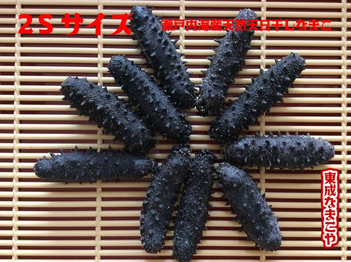 乾燥赤ナマコ A級品 関西産 200g(23粒) 魚介類(加工食品)