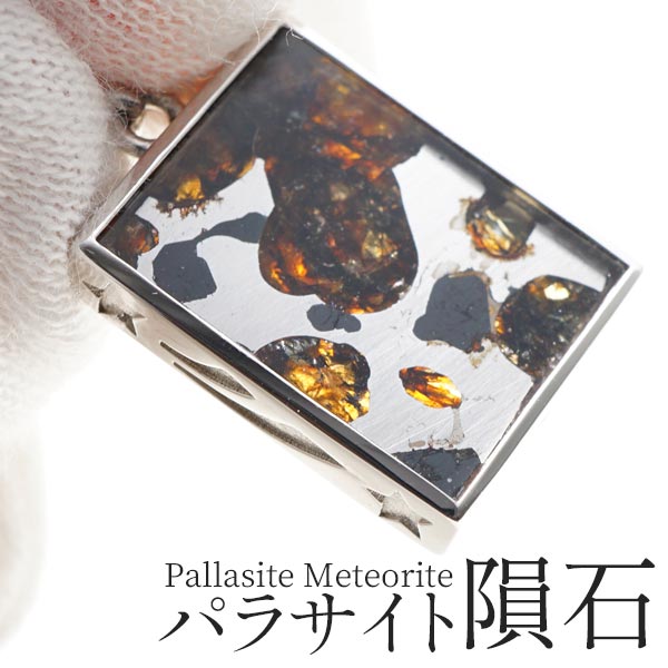 市場 パラサイト隕石 石鉄隕石 Pallasite オリビン Meteorite ペンダントトップ ペンダント メテオライト