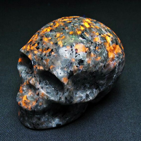 楽天市場】テラヘルツ ドクロ 置物 手彫り 彫刻品 インテリア