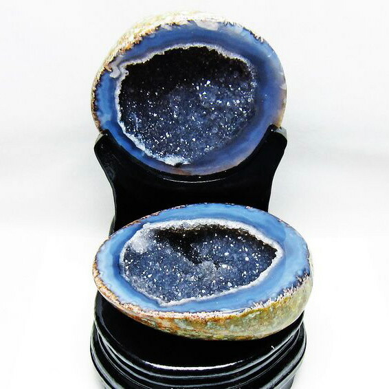 楽天市場】【19日(金)20時～ entryでポイント14倍！】 【超大型