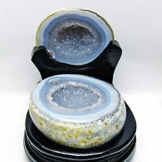 楽天市場】今だけエントリーで全品ポイント10倍彡 【超大型 トレジャー