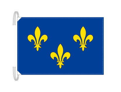 TOSPA イル＝ド＝フランス地域圏 フランス地域圏の旗 州旗（50×75ｃｍ）