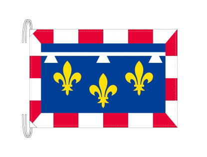 TOSPA サントル\u003dヴァル ド ロワール地域圏 フランス地域圏の旗 州旗（50×75ｃｍ） 7,242円