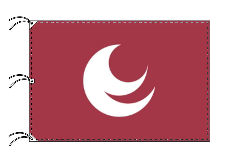 大分県 大分県旗 テトロン製 日本製 日本 都道府県 旗 ⭐️ 大分県 旗 テトロン製 日本製 大分県 応援 スポーツ 部活