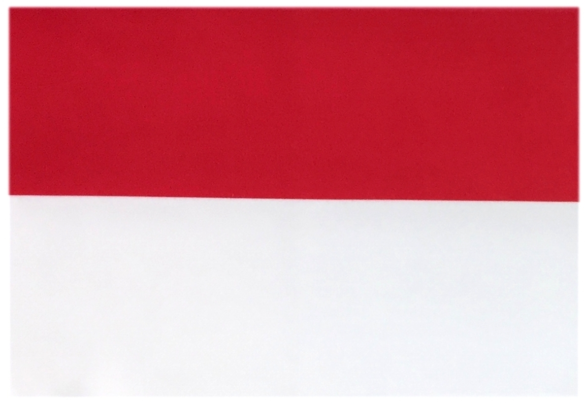 楽天市場 世界の国旗 ミニタオル ハンドタオル インドネシア国旗柄 素早い吸水 速乾のマイクロファイバー生地 ミニメガネ拭き スマホ タブレット レンズクリーナークロス トスパ世界の国旗販売ショップ