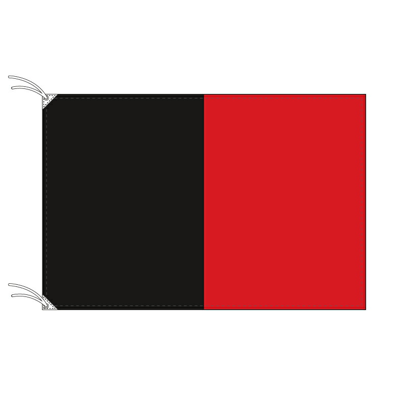 【楽天市場】TOSPA ナミュール州の旗 ベルギーの地方の旗 70×105cm テトロン製 日本製 世界各国の州旗シリーズ：トスパ世界の国旗