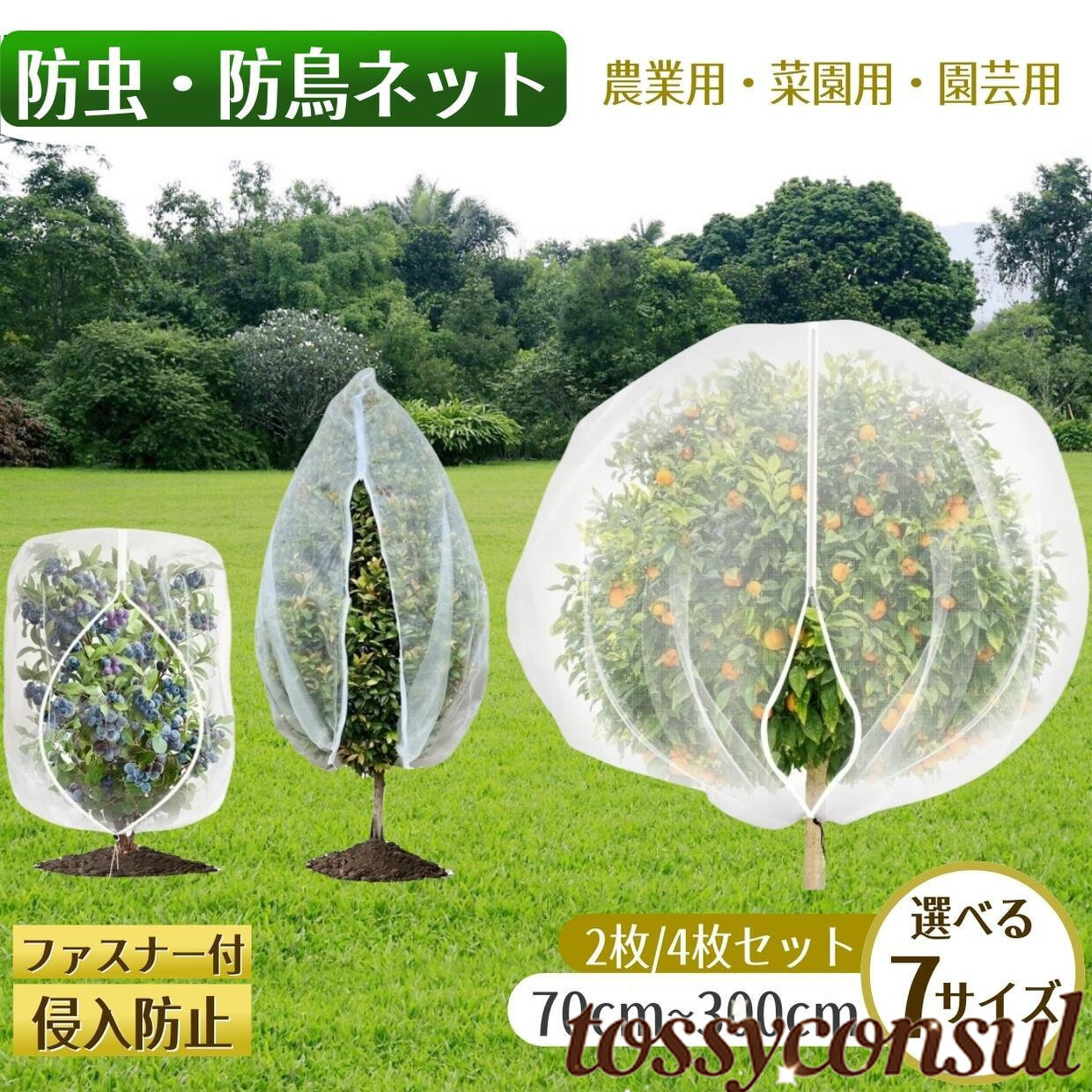 トッシーコンサル店・百貨店SALE特集