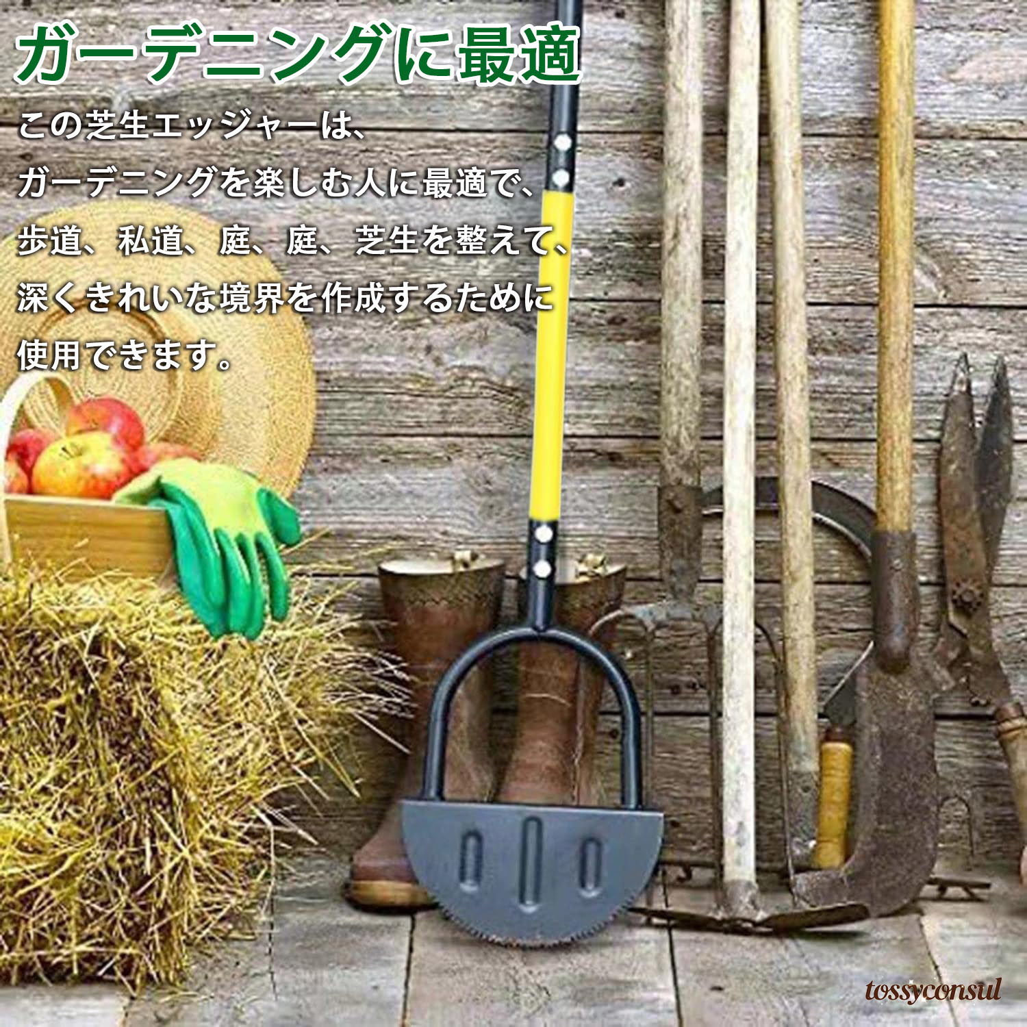 トッシーコンサル店・百貨店SALE特集