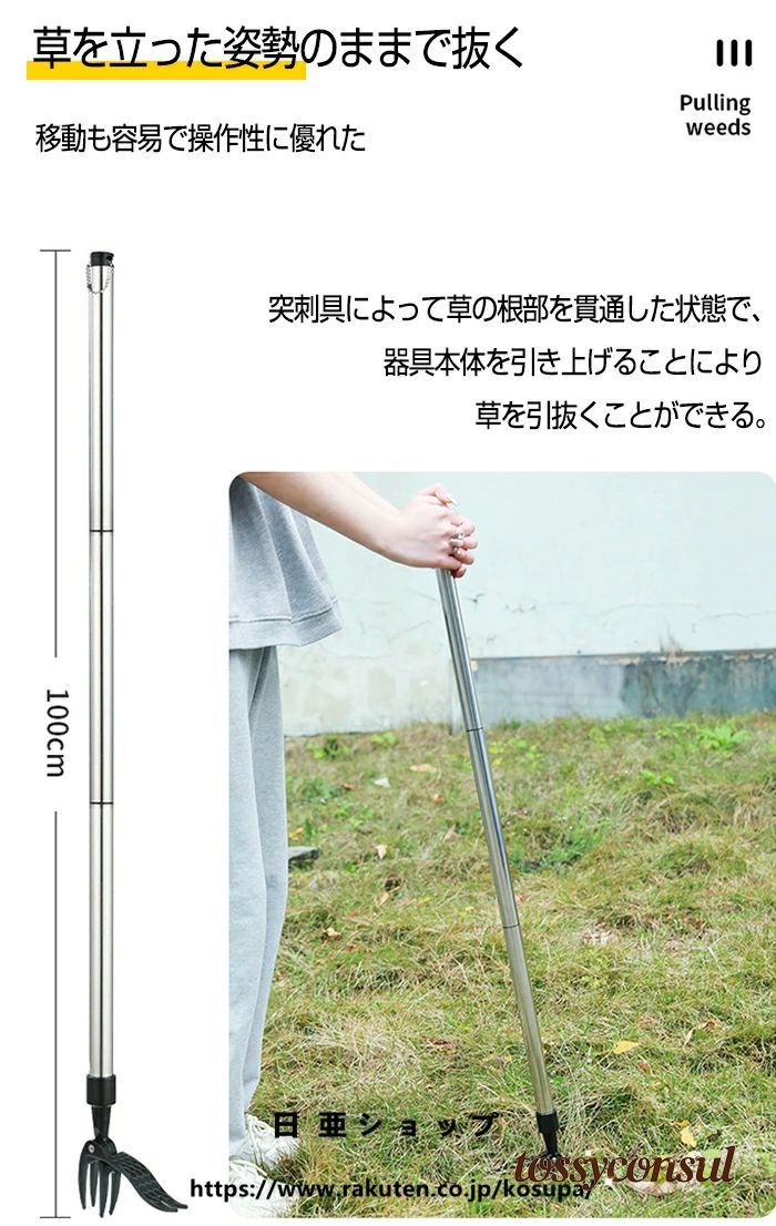 トッシーコンサル店・百貨店SALE特集