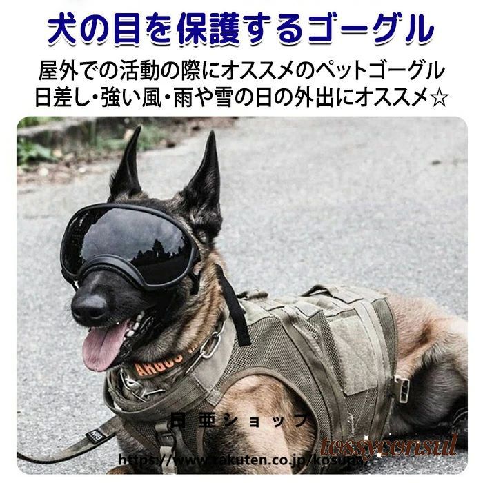 トッシーコンサル・レビュー服従社会的運動