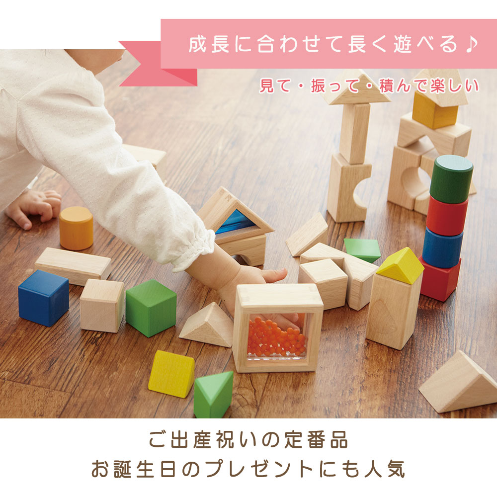 積み木 エドインター デザインつみき 木のおもちゃ 入園 知育玩具 誕生