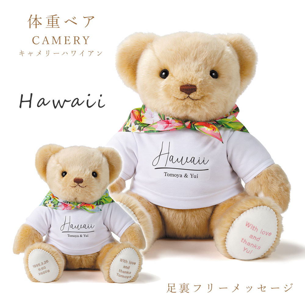体重 ベア キャメリー ハワイアン（1体） 足裏 フリーメッセージ 結婚式 両親 プレゼント ウェイトベア 赤ちゃん 体重 生まれた時の体重 ぬいぐるみ 足裏メッセージ ウェイトドール 名前 名入り 名入れ 記念品【返品不可】【キャンセル不可】【NE】 18,292円