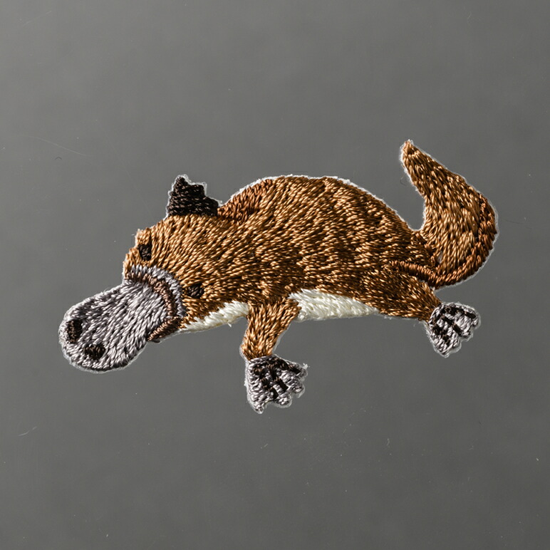 楽天市場 Who Are You カモノハシ ハマナカ ワッペン アイロン 接着 動物 生き物 手芸用品 刺繍 手作り 入園 入学 アップリケ ゆうパケット 送料無料 Fanmary ファンメアリー 楽天市場 Who Are You カモノハシ ハマナカ ワッペン アイロン 接着 動物 生き物 手芸用品 刺繍 手作り 入園 入学 アップリケ ゆうパケット 送料無料 Fanmary ファンメアリー