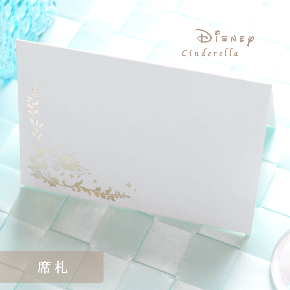 ディズニー 結婚 式 費用 オープニング大セール 70 割引 Festina Pl