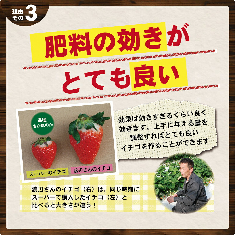 有機 肥料 有機液肥 液肥 おいしい 植物が喜ぶ肥料のお店 Font 農作業 農業 肥料 野菜 醗酵油かす有機入り液肥 スーパーiコック付き １０kg 高級ブランド野菜の生産者やバラ栽培の先生もご愛用 Font 有機肥料 農作業 液体肥料 野菜 甘い 有機液体肥料 トマト