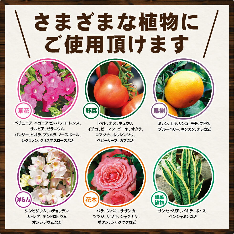 肥料 用土 肥料 液肥 液肥 液体肥料 農業 醗酵油かす有機入り液肥 スーパーi 10kg 有機 肥料 有機肥料 有機液肥 有機液体肥料 農業 農作業 野菜 美味い 甘い おいしい 植物が喜ぶ肥料のお店 トマト イチゴ ミカン サクランボ等にお勧めです 高級ブランド野菜の 肥料 用土 肥料 液肥 液肥 液体肥料 農業 醗酵油かす有機入り液肥 スーパーi 10kg 有機 肥料 有機肥料 有機液肥 有機液体肥料 農業 農作業 野菜 美味い 甘い おいしい 植物が喜ぶ肥料のお店 トマト イチゴ ミカン サクランボ等にお勧めです 高級ブランド野菜の