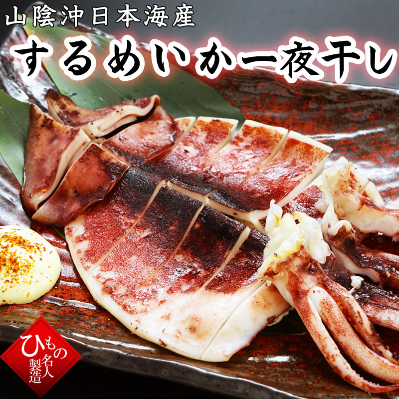 するめいか 丸物20キロ するめいか 丸物20キロ するめいか 丸物20キロ 楽天市場】冷凍 丸 イカ