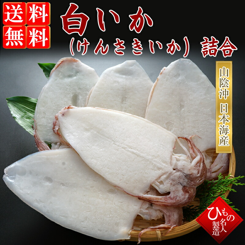 山陰一夜干し 白いか ( ケンサキイカ ） 干物 詰め合わせ (4～6枚)  干物ギフト お取り寄せグルメ ひもの【 お祝い お礼】感謝の干物セット 送料無料※北海道・沖縄は別途送料1000円お願いします。
