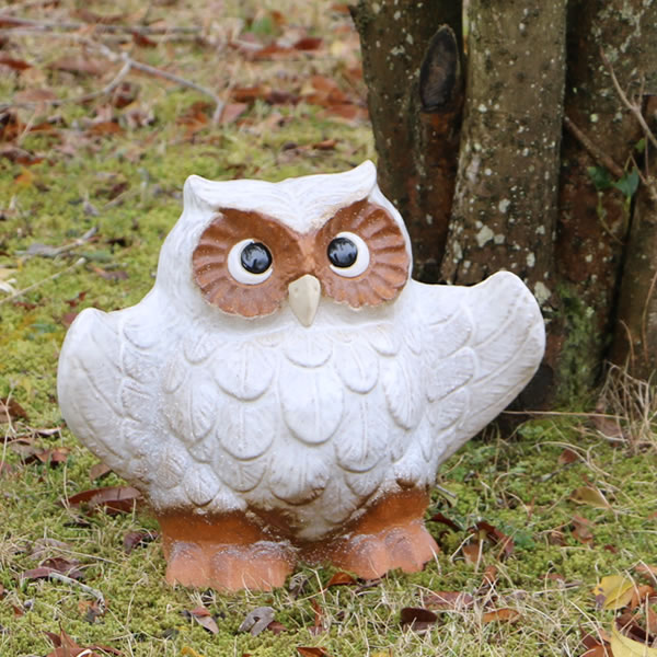 フクロウ置き物　信楽焼と木彫り フクロウ 置物 オブジェ インテリア おしゃれ 梟 信楽焼 国産品