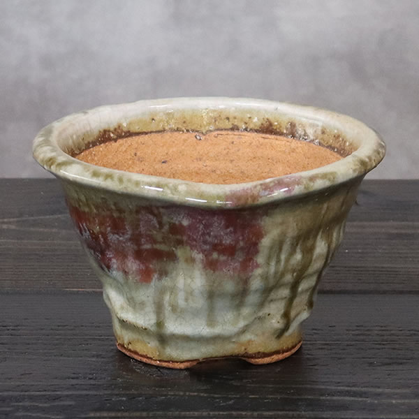 山草鉢 手作りの陶器植木鉢 山野草鉢 信楽焼 山草 鉢 しがらき 陶器鉢 植木 やきもの 信楽焼鉢 手づくり 多肉植物 塊根植物 sa-0352｜しがらき陶庵