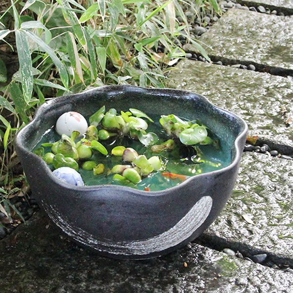12号緑釉ハケメ花型信楽焼すいれん鉢！メダカ鉢、金魚鉢にも最適！＜br ＞睡蓮鉢 陶器スイレン鉢 ハス鉢 はす鉢 めだか鉢 鉢 陶器 ＜br ＞水連鉢 水鉢 睡蓮鉢 信楽焼き睡蓮鉢［su-0157］