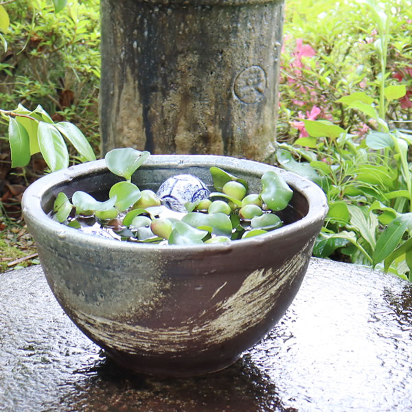 10号青ハケ目水鉢信楽焼すいれん鉢！メダカ鉢、金魚鉢 \u003cbr  \u003e至適！スイレン鉢 瀬戸もの睡蓮鉢 芙蓉鉢 はす鉢 めだか鉢 \u003cbr  \u003e鉢 瀬戸もの 水連鉢 水鉢 スイレン鉢 信楽焼きスイレン鉢［su-0159］\u003cbr  \u003e