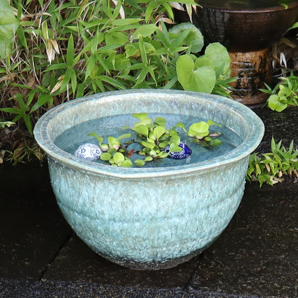 信楽焼 メダカ鉢 おしゃれ 水鉢 睡蓮鉢 陶器 めだか 鉢 金魚鉢 青 メダカ ビオトープ ハス鉢 水連鉢 手水鉢 水槽 16号緑釉水鉢 su-0287