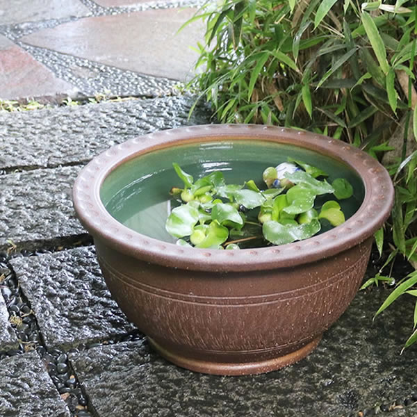 スイレン鉢 すいれん 陶器水鉢 信楽焼 水鉢 鉢 金魚鉢 めだか鉢 すいれん鉢 メダカ鉢 ハス鉢 大きい鉢 しがらき 睡蓮鉢 和風 16号トチリ碗型水鉢 ［su-0111］