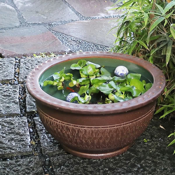 睡蓮鉢 すいれん 瀬戸もの水鉢 信楽焼 水鉢 鉢 金魚鉢 めだか鉢 すいれん鉢 メダカ鉢 芙蓉鉢 馬鹿でかい鉢 しがらき スイレン鉢 和風 18号トチリ碗型水鉢 ［su-0173］