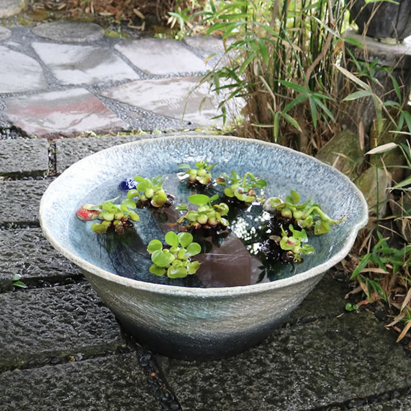 水鉢 すいれん鉢 信楽焼すいれん鉢 メダカ鉢、 金魚鉢にも最適 睡蓮鉢 陶器スイレン鉢 ハス鉢 はす鉢 めだか鉢 鉢 陶器 水連鉢 水鉢 信楽焼き睡蓮鉢 手水鉢 水鉢 大きい su-0242