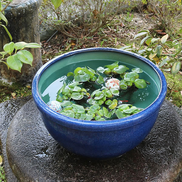 【今だけ押さえる15%OFF引き換え証】15号ナマコ色水鉢 すいれん鉢 信楽焼すいれん鉢 メダカ鉢 金魚鉢 スイレン鉢 瀬戸もの睡蓮鉢 芙蓉鉢 はす鉢 めだか鉢 鉢 瀬戸もの 水連鉢 水鉢 信楽焼きスイレン鉢 手水鉢 手づくり やきもの su-0255