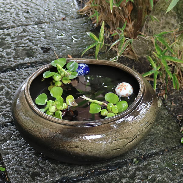 すいれん鉢 信楽焼すいれん鉢 メダカ鉢、 金魚鉢にも最適 睡蓮鉢 陶器スイレン鉢 ハス鉢 はす鉢 めだか鉢 鉢 陶器 水連鉢 水鉢 信楽焼き睡蓮鉢 手水鉢 陶器鉢 su-0273