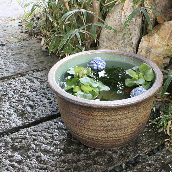楽天市場】【10%OFFクーポン配布中】メダカ鉢 金魚鉢 睡蓮鉢