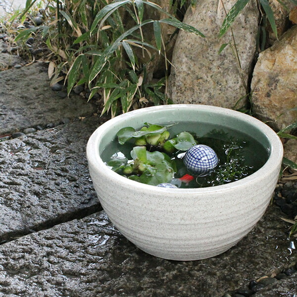 陶器製　メダカ鉢　傘立て　植木鉢 楽天市場】【8月1日限定11%OFFクーポン】メダカ鉢 おしゃれな