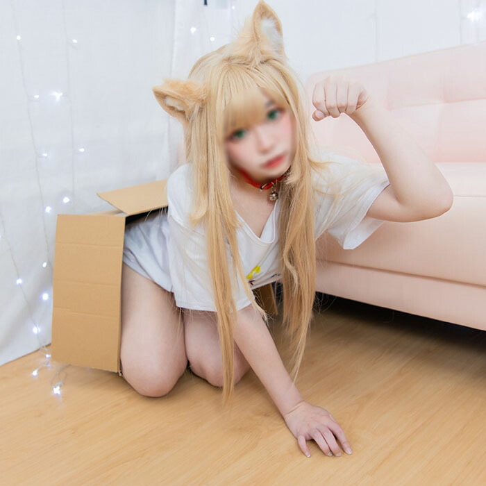 コスプレエクィップメント ネコ耳 しっぽ 2条目揃え にゃんにゃん 猫 コスプレ ハロウィン カムフラージュ 猫 萌えにゃんこ ねこ 尾 ネコミミ ねこみみ ケモミミ ねこ耳 猫耳 カチューシャ 愛愛しい 猫の尻尾 狐狸の尻尾 虚耳 偽しっぽ 生類獣畜 文明祭事 スクール祭 お