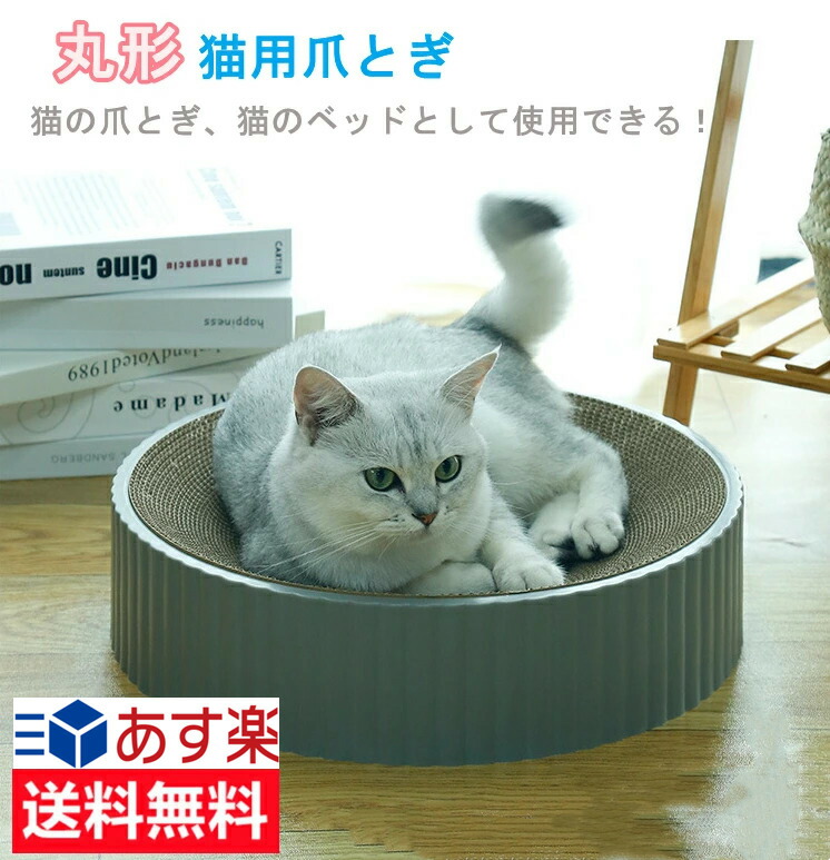 楽天市場】猫トイレ 本体 スコップ付き 送料無料 大型 猫 トイレ 猫用トイレ 前入り式 ネコのトイレ 猫砂の飛び散り防止 掃除簡単 スペース広い  大きい猫 大きいトイレ ゆったり広々 送料無料（※北海道 沖縄 離島を除く） : YTSHOP