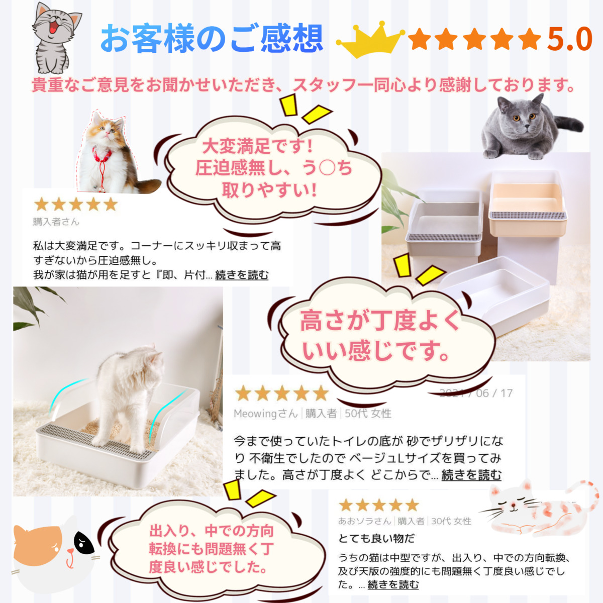 市場 15日限定 トイレ 猫用トイレ ネコトイレ Ｌサイズ P10倍UP おしゃれ 10％OFF 掃除しやすい 飛び散らない 猫トイレ 清潔 高齢猫 猫