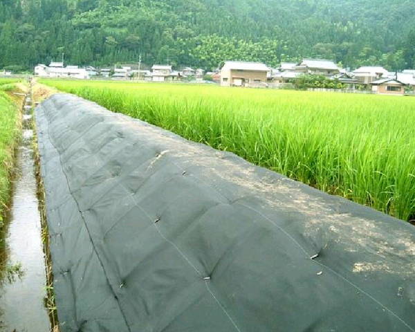 水呑みかばい立て KWS-100-50GR 1000×50m 1巻