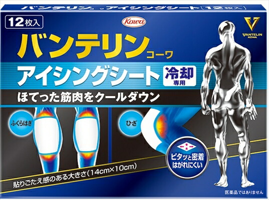バンテリンコーワ アイシングザパック腰掛け12枚 x２０点