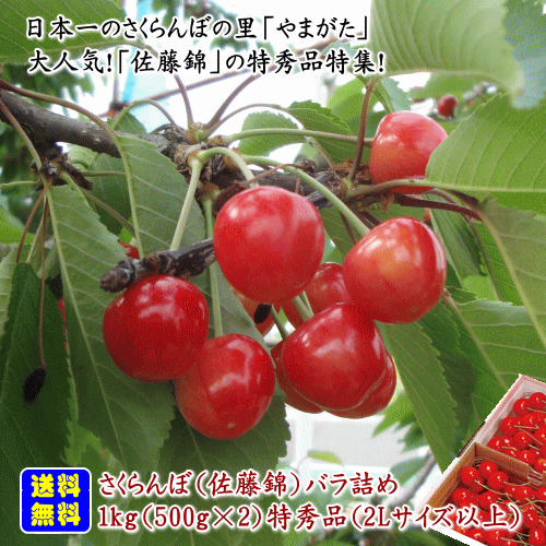 【生産農家厳選品】<BR>山形県産さくらんぼ（佐藤錦）バラ詰め1kｇ（500ｇ×2パック詰）特秀品(2Ｌサイズ以上)【但し、沖縄県・一部離島へのお届けは別途送料が500円かかります】