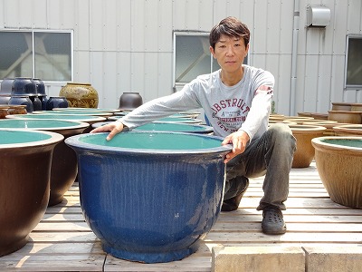 超爆安 水鉢 8 青釉 Aサイズ 大きい水鉢 大きい睡蓮鉢 メダカ 金魚鉢 きれいな睡蓮鉢 毎日出荷中