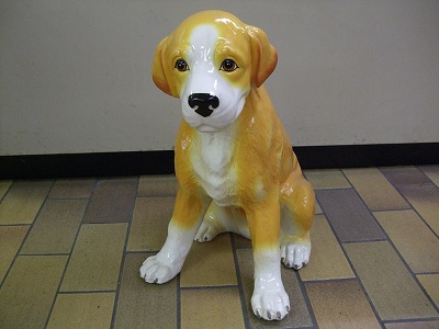 子犬