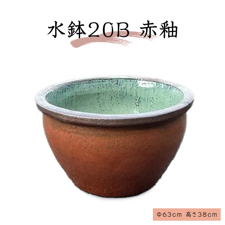 楽天市場】水鉢 19-A 睡蓮鉢 水鉢 メダカ 金魚 飼育 鉢 : やまちょう