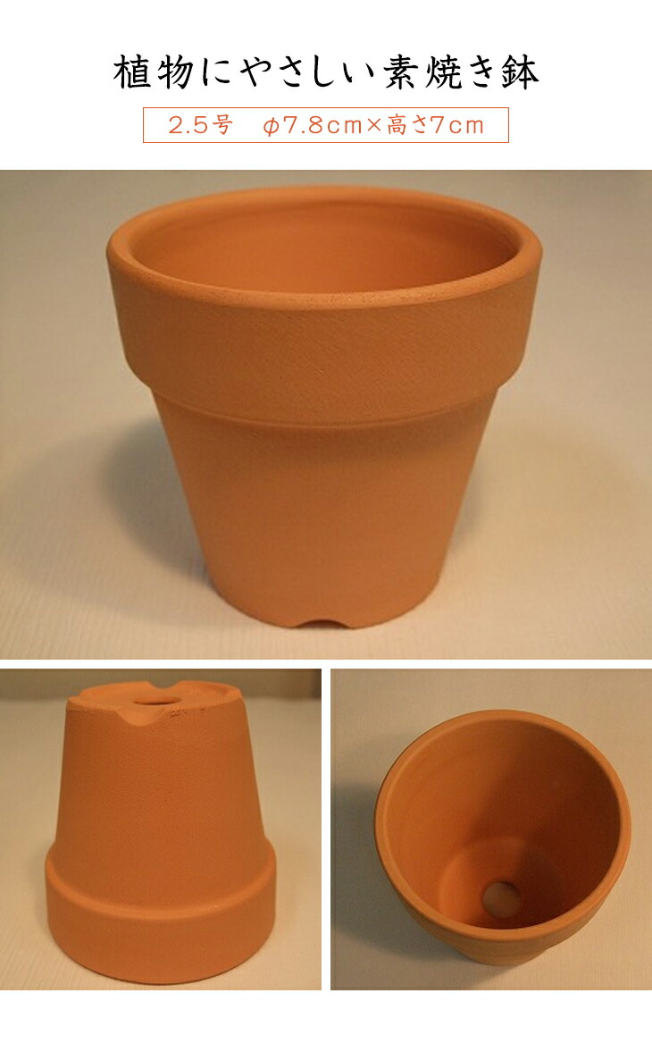 2 5ナンバー素焼きフラワーポット 1実例 135個値打ち 素焼き鉢 2 5号 植木鉢 鉢 Digitalland Com Br