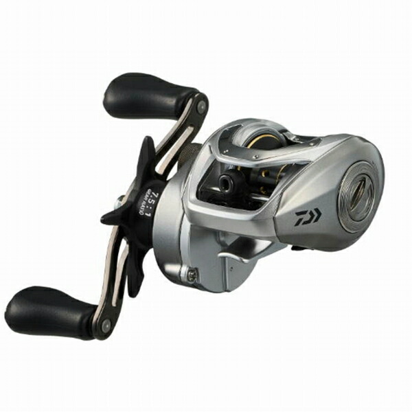 gotou ベイトリール gotou ベイトリール 楽天市場】ベイトリール 海釣り 淡水釣り