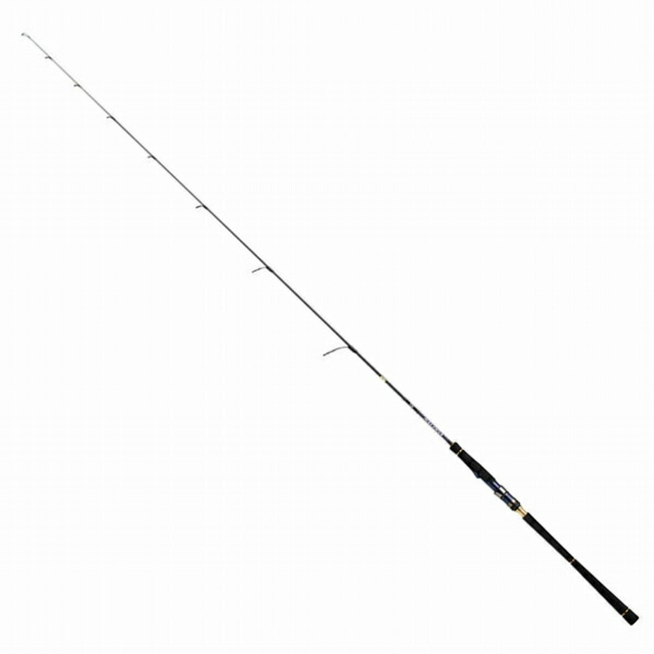 DAIWA - ソルティガBJ66XXHB ソルティガ BJ AGS 66XXHB ソルティガ BJ AGS 66XXHB - 54,200円