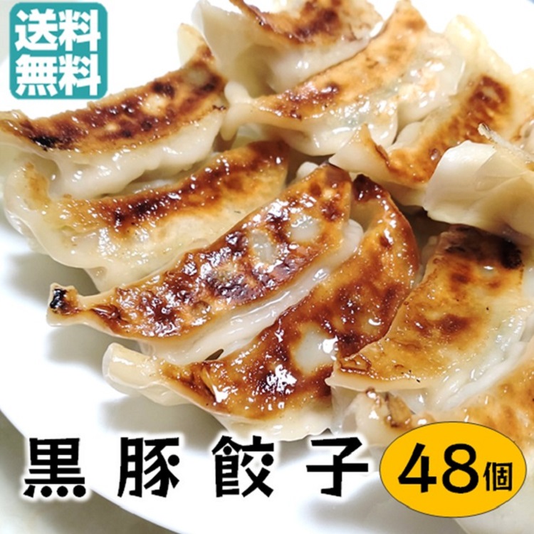 冷凍ギョーザ 黒豚 餃子 48個 お取り寄せ 生餃子 ぎょうざ 冷凍 水餃子 ニンニク餃子 生 ギョウザ 鹿児島 ギョーザ にんにく餃子 うまい餃子 冷凍おかず スープ餃子 美味しいお惣菜 具だくさん 惣菜 おかず 冷凍惣菜 おいしい
