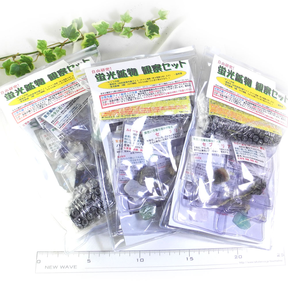 光る石ガイドブック: 蛍光鉱物の不思議な世界 (ROCK&GEMコレクション) 光る石ガイドブック: 蛍光鉱物の不思議な世界 (ROCK&GEM