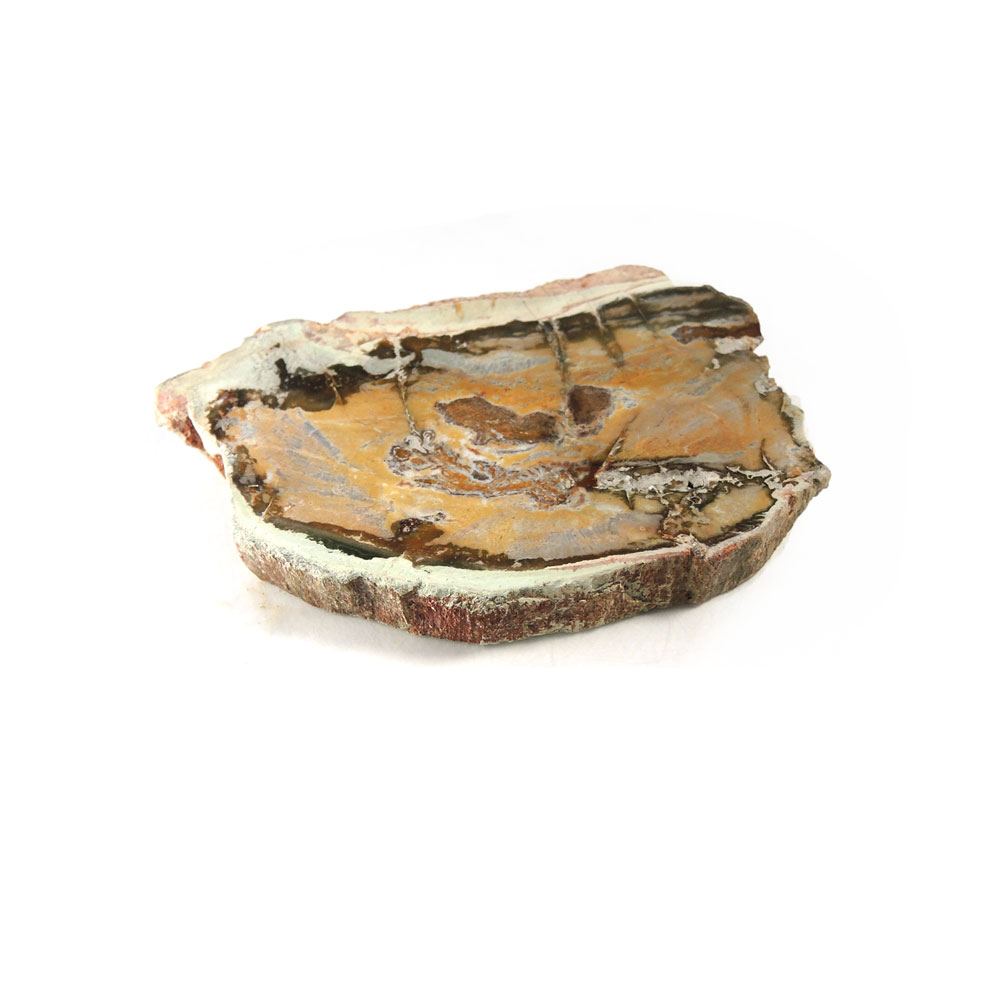 高品質　ペトリファイドウッド　スフィア　64mm 台座付き　珪化木　ブルー① 楽天市場】ペトリファイドウッド 珪化木 パームストーン 握り石