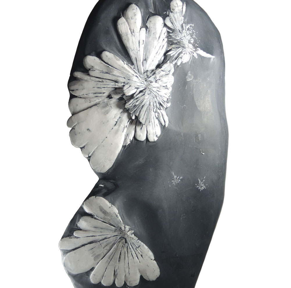 楽天市場】【送料無料】菊花石 鑑賞石 (産地/ 根尾 赤倉山) 唐木